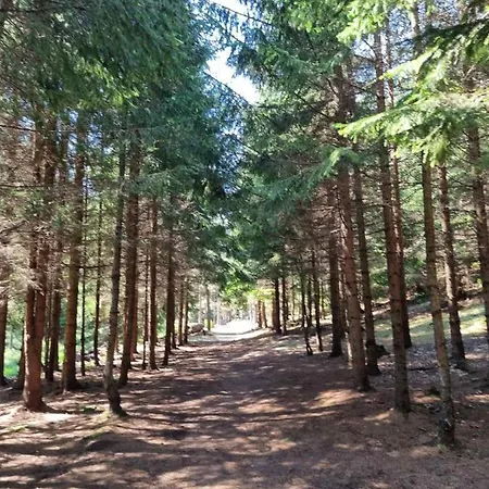 Апартаменты Nana