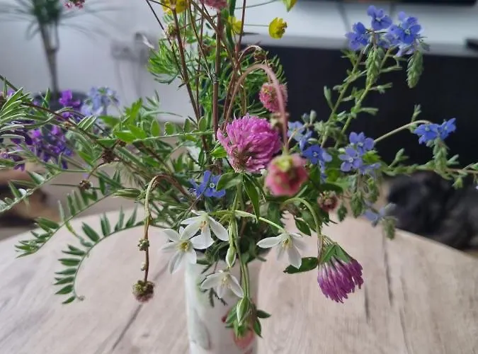 アパート Nana Divčibare