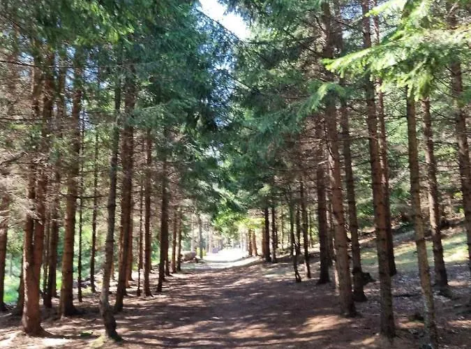 Апартаменты Nana